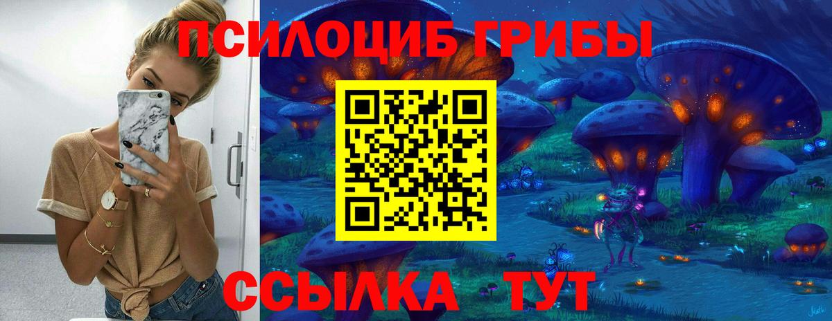 Псилоцибиновые грибы Psilocybine cubensis Хасавюрт